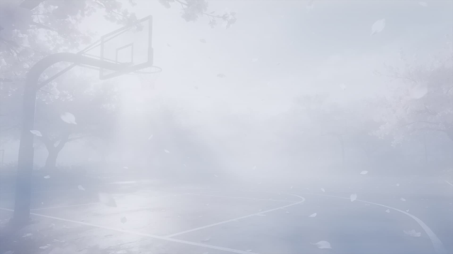 Section Background